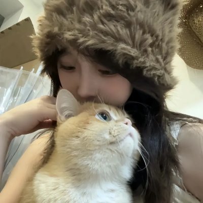 叙梦入局