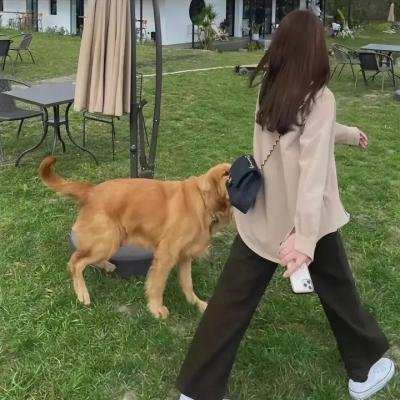 启示录叛乱